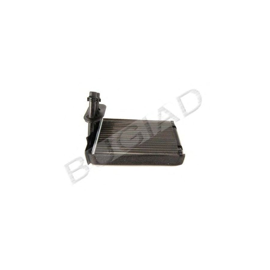 BUGIAD Bsp20545 Heater Matrix