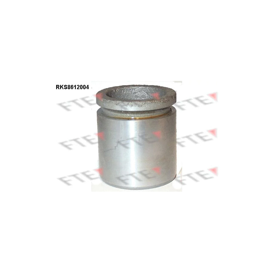 FTE Rks8612004 Piston, Brake Caliper