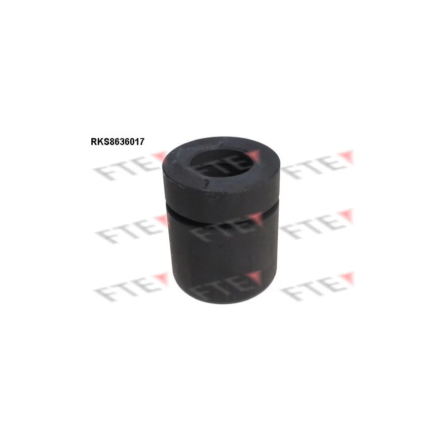 FTE 9313333 Piston, Brake Caliper for Opel Astra