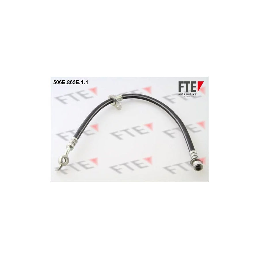 FTE 506E.865E.1.1 Brake Hose