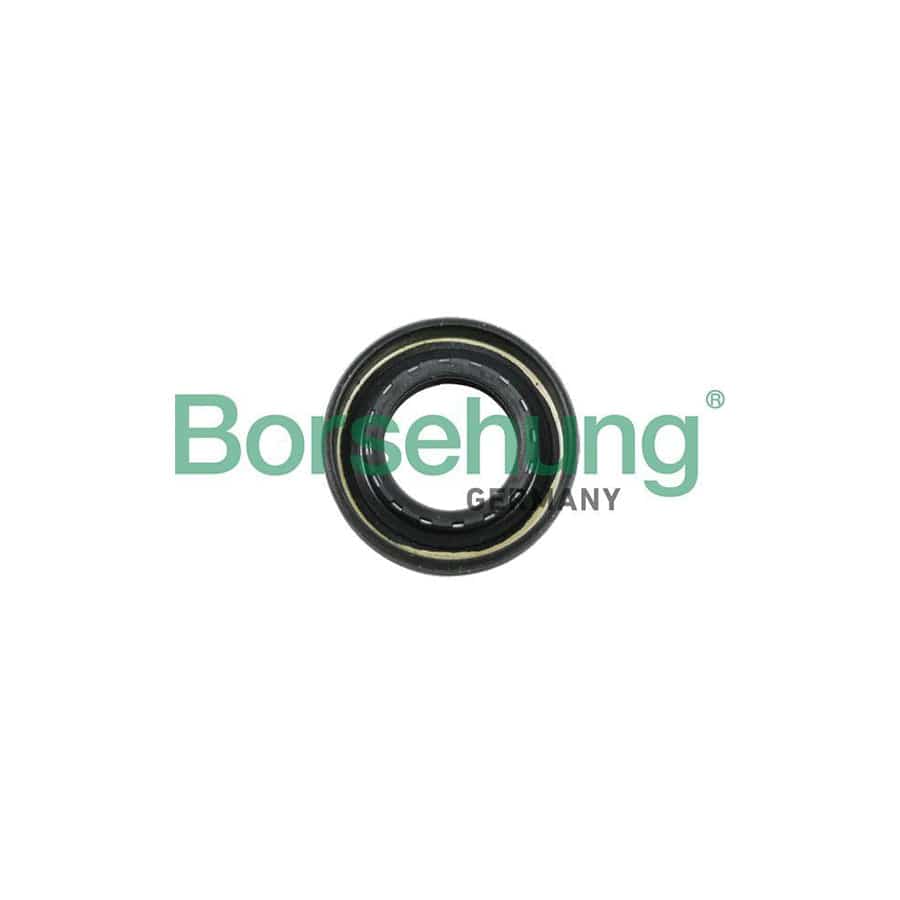 Borsehung B12194 Shaft Seal, Manual Transmission