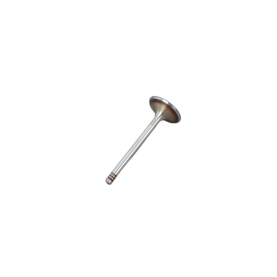 Genuine BMW 11341336903 Intake Valve D=40/7 (Inc. R 80 G/S, R65LS & R65) | ML Performance UK Car Parts