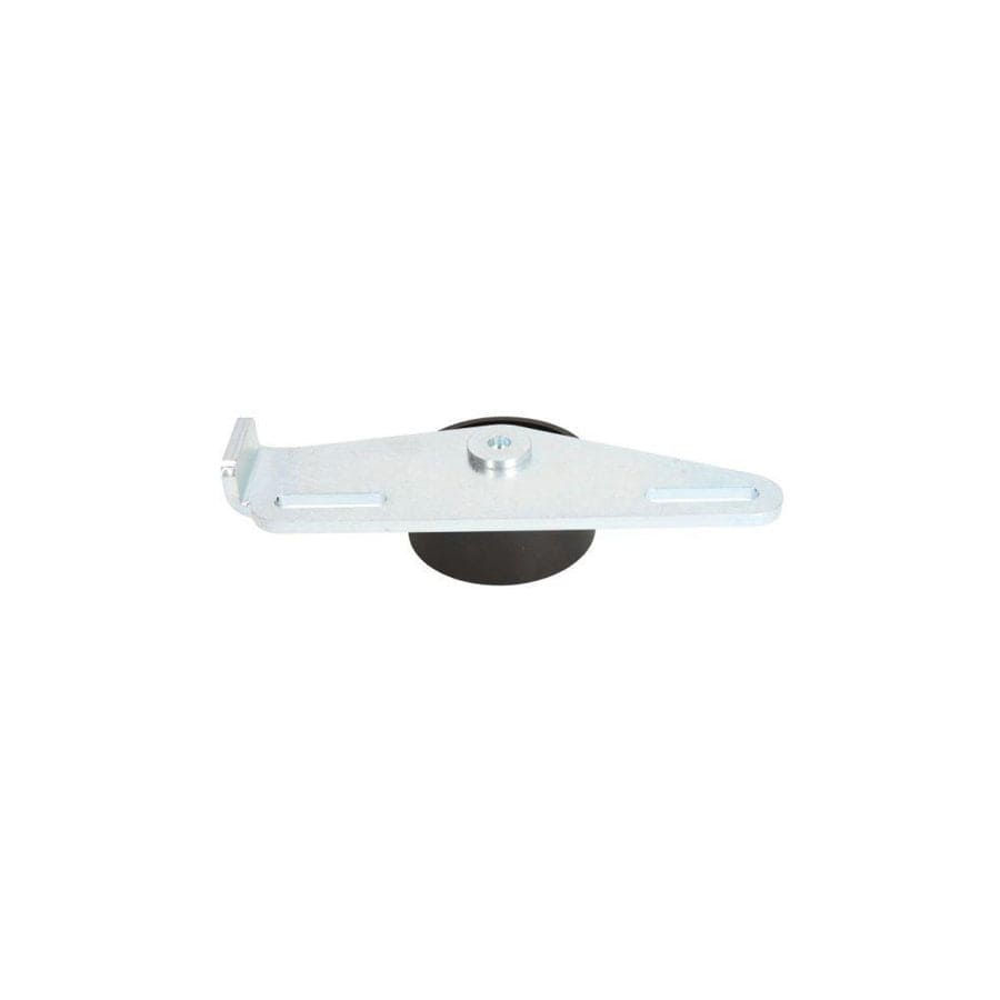 BTA E2R0022BTA Tensioner Pulley
