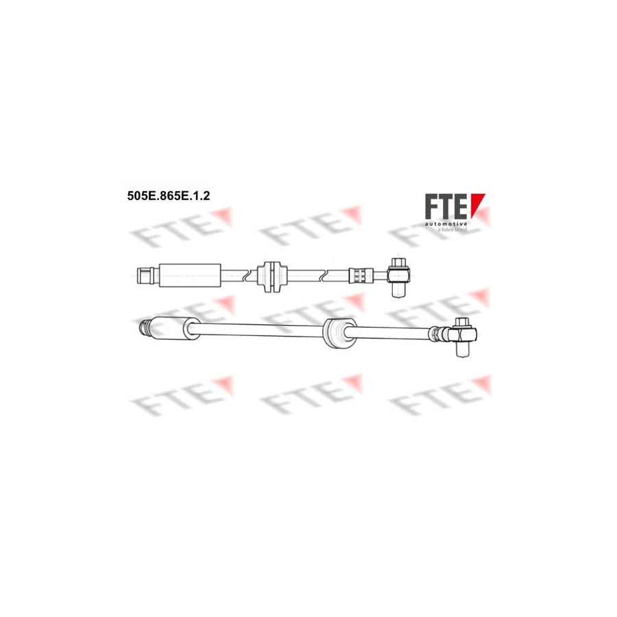FTE 505E.865E.1.2 Brake Hose