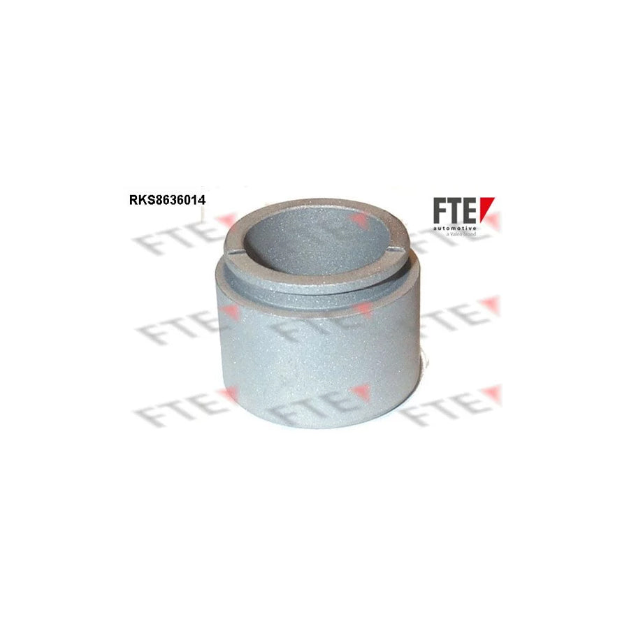 FTE 9313331 Piston, Brake Caliper
