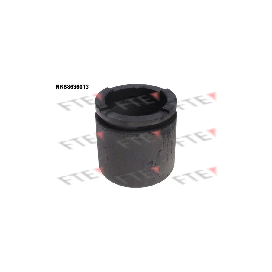 FTE 9313330 Piston, Brake Caliper