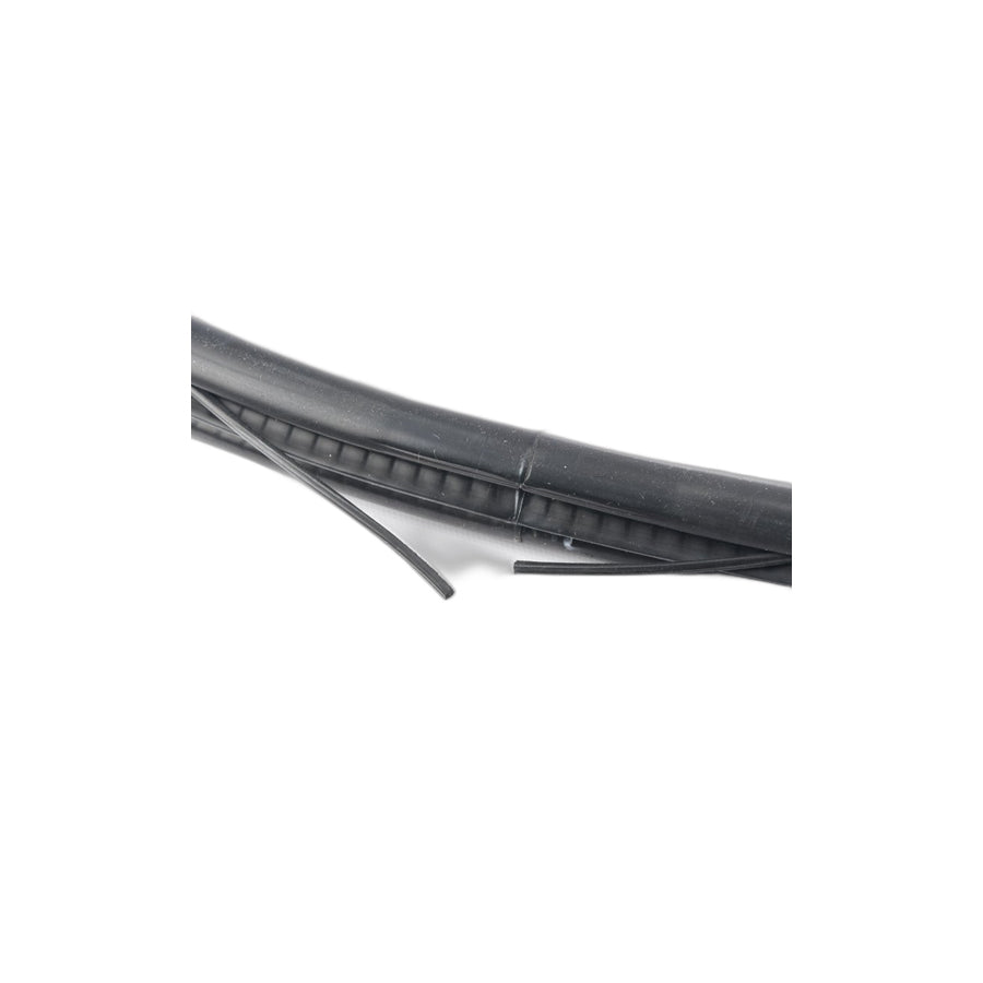 Genuine BMW 51727396556 F25 Edge Protection, Door, Rear (Inc. X3) | ML Performance US Car Parts