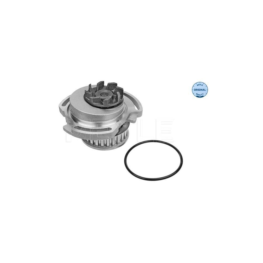 Meyle 113 012 0025 Water Pump