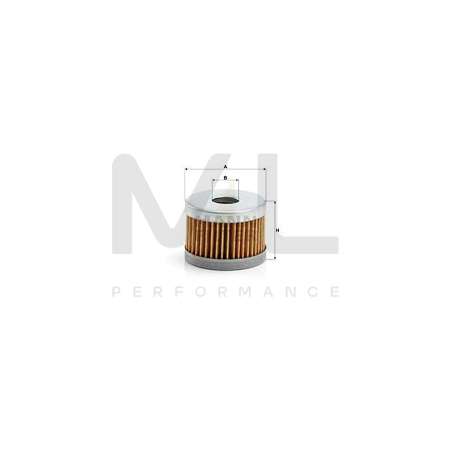 MANN-FILTER C 43/1 Air Filter Filter Insert