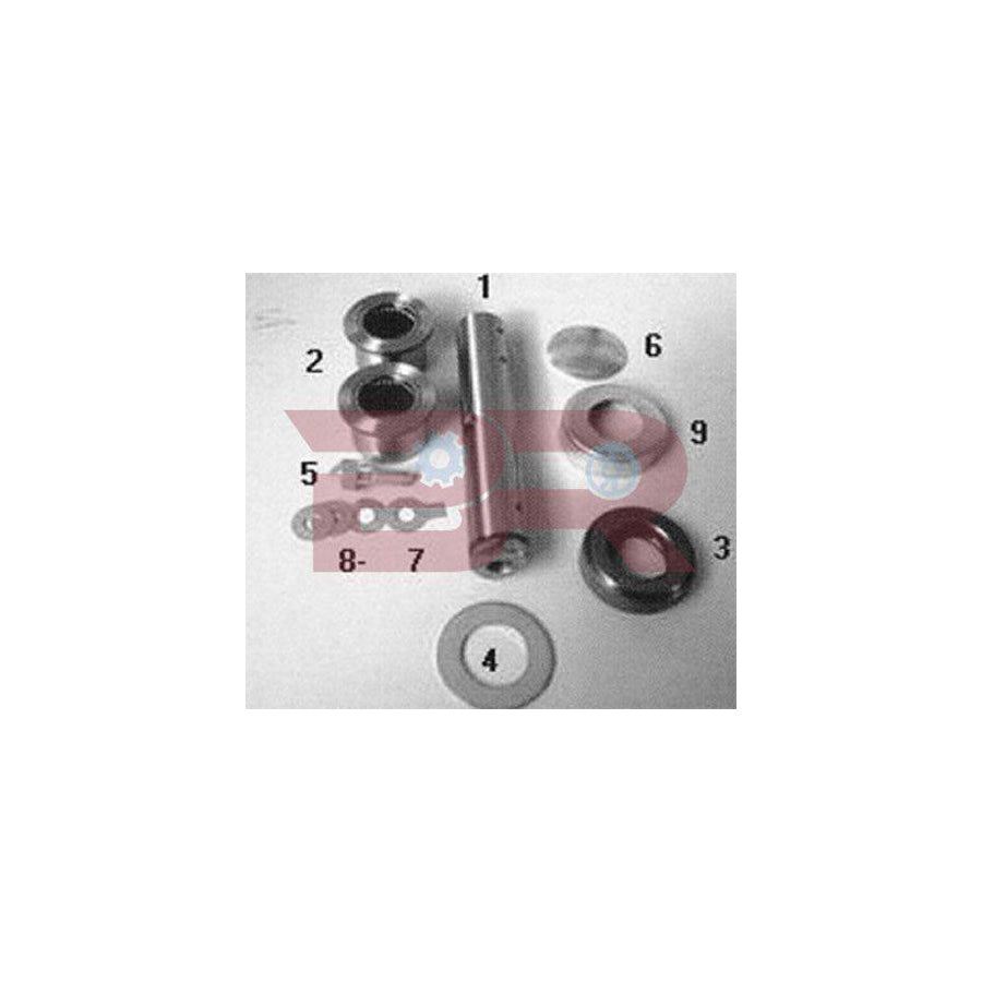 Botto Ricambi Kitiv001 Repair Kit, Kingpin