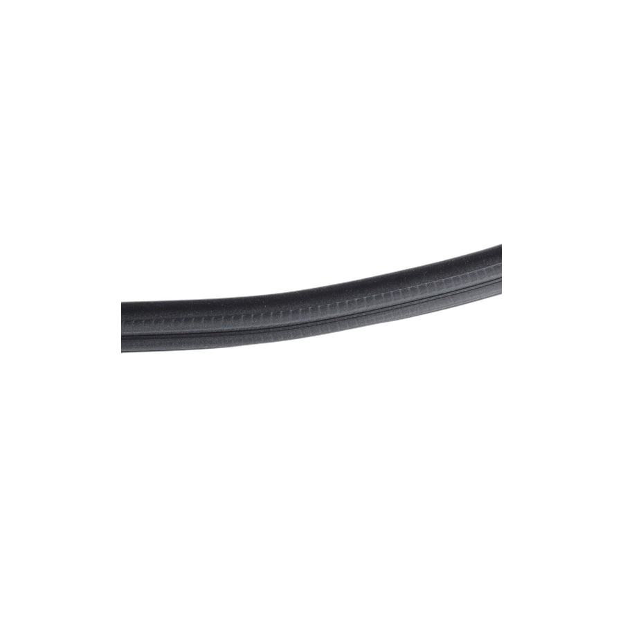 Genuine BMW 51727289689 F15 Edge Protection, Door, Rear SCHWARZ (Inc. X5) | ML Performance US Car Parts