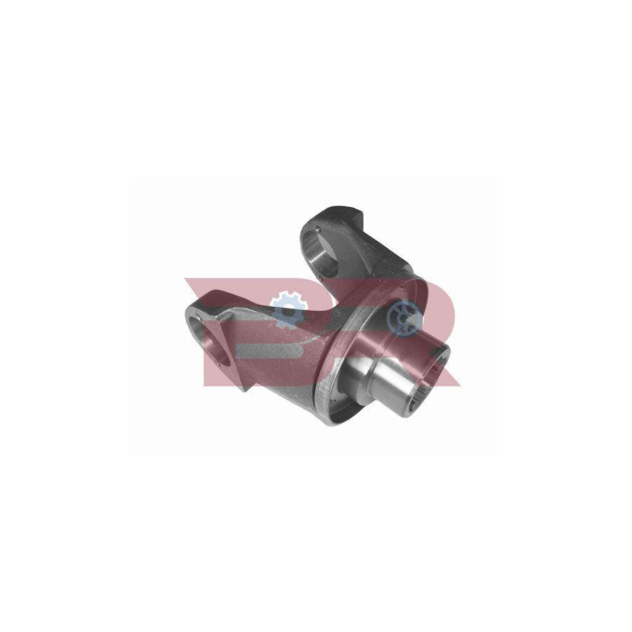 Botto Ricambi Brd2900 Flange, Differential