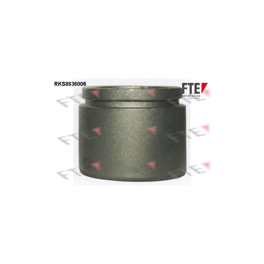 FTE 9313325 Piston, Brake Caliper