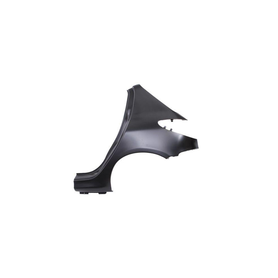 Blic 6504-01-5507513P Wing Fender For Peugeot 206
