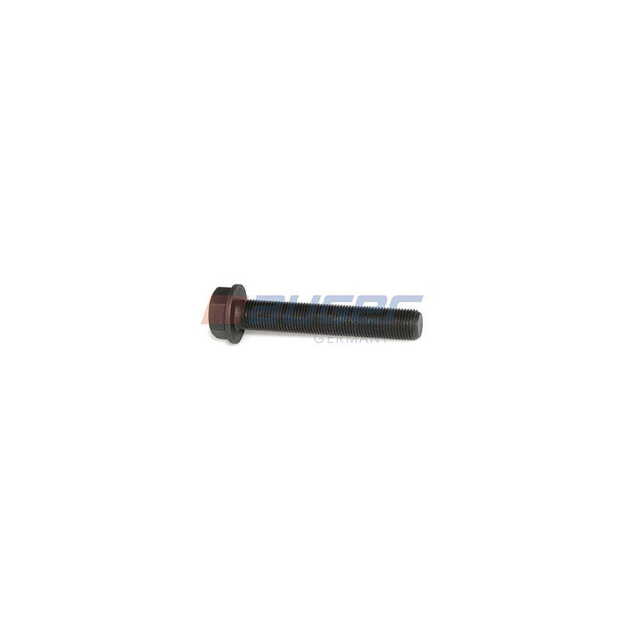 Auger 74689 Screw