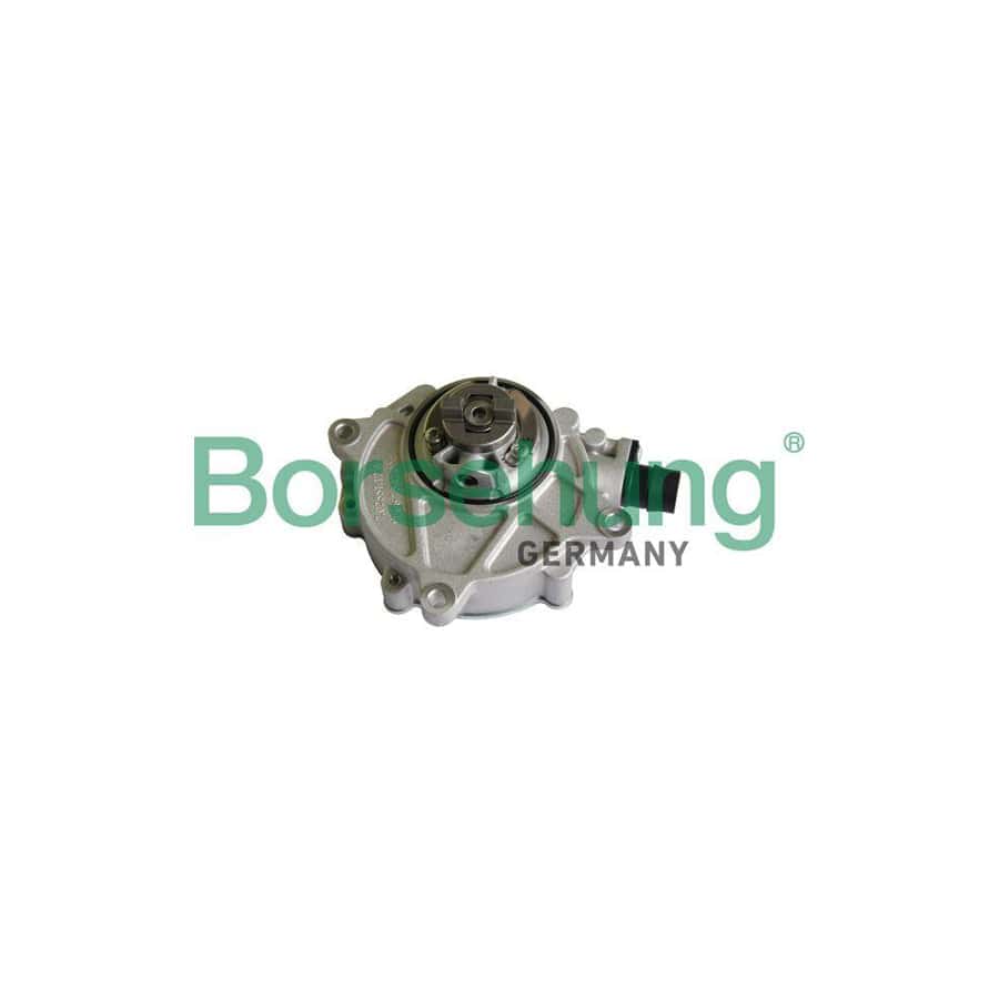 Borsehung B12222 Brake Vacuum Pump