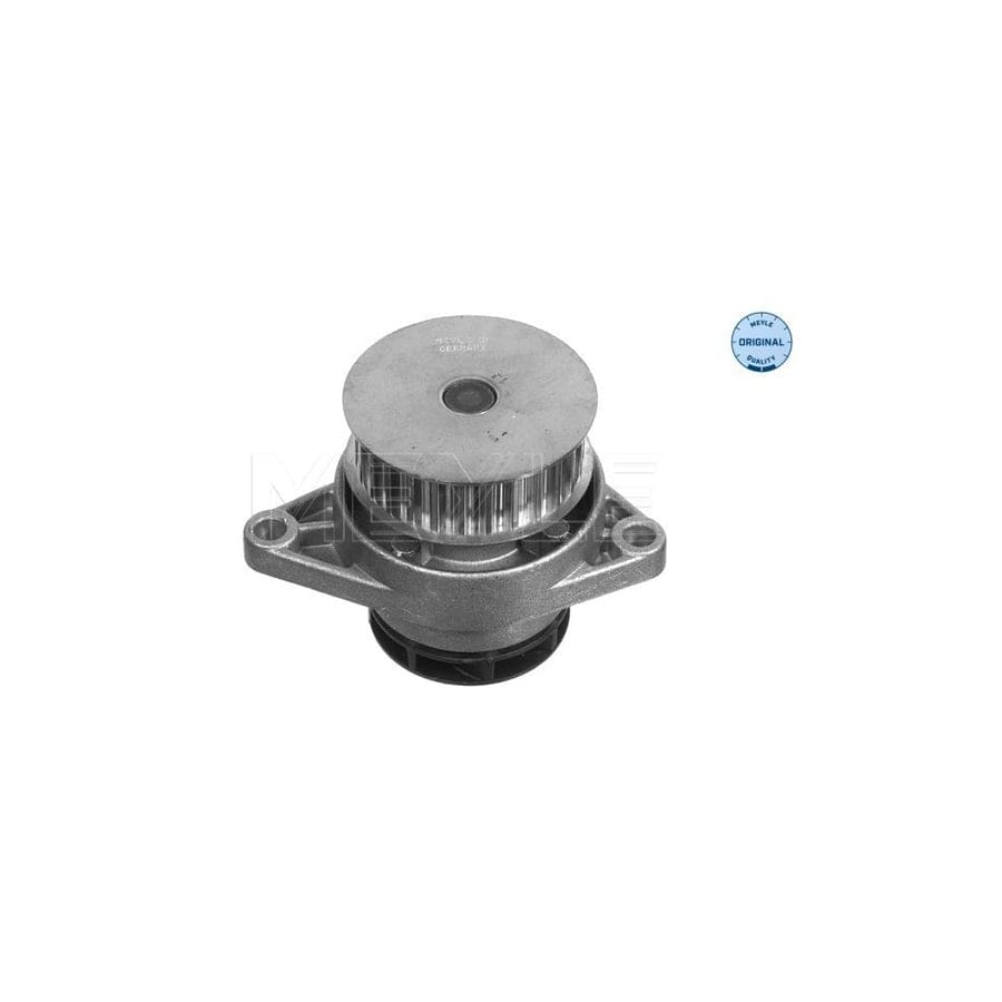 Meyle 113 012 0049 Water Pump