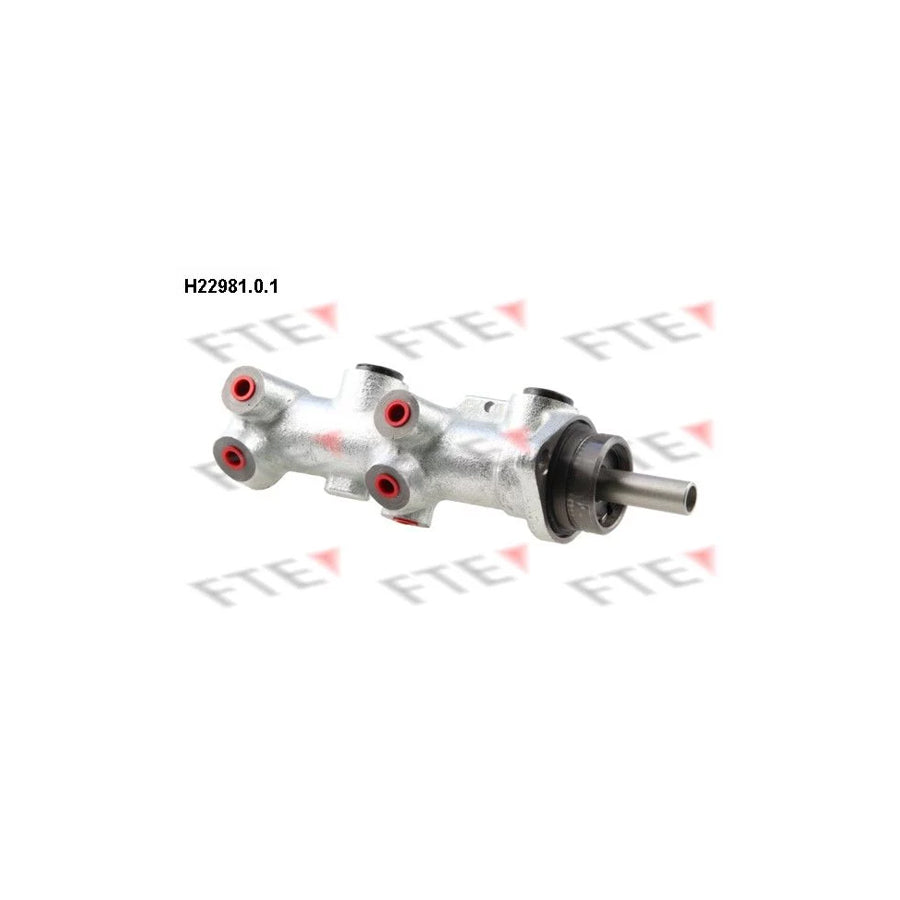 FTE H22981.0.1 Brake Master Cylinder