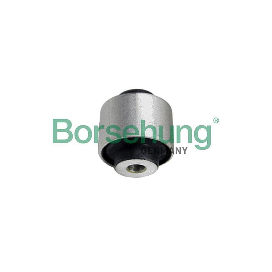 Borsehung B19111 Control Arm- / Trailing Arm Bush for Audi A4