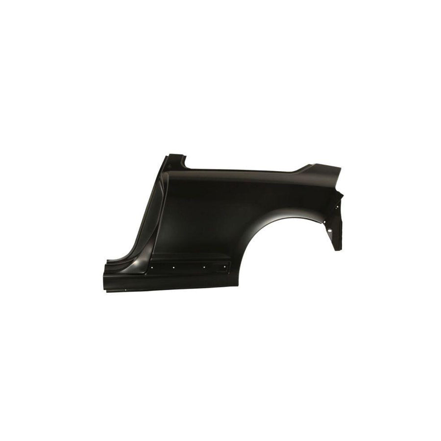 Blic 6504-01-0537511P Wing Fender For Citroen C4