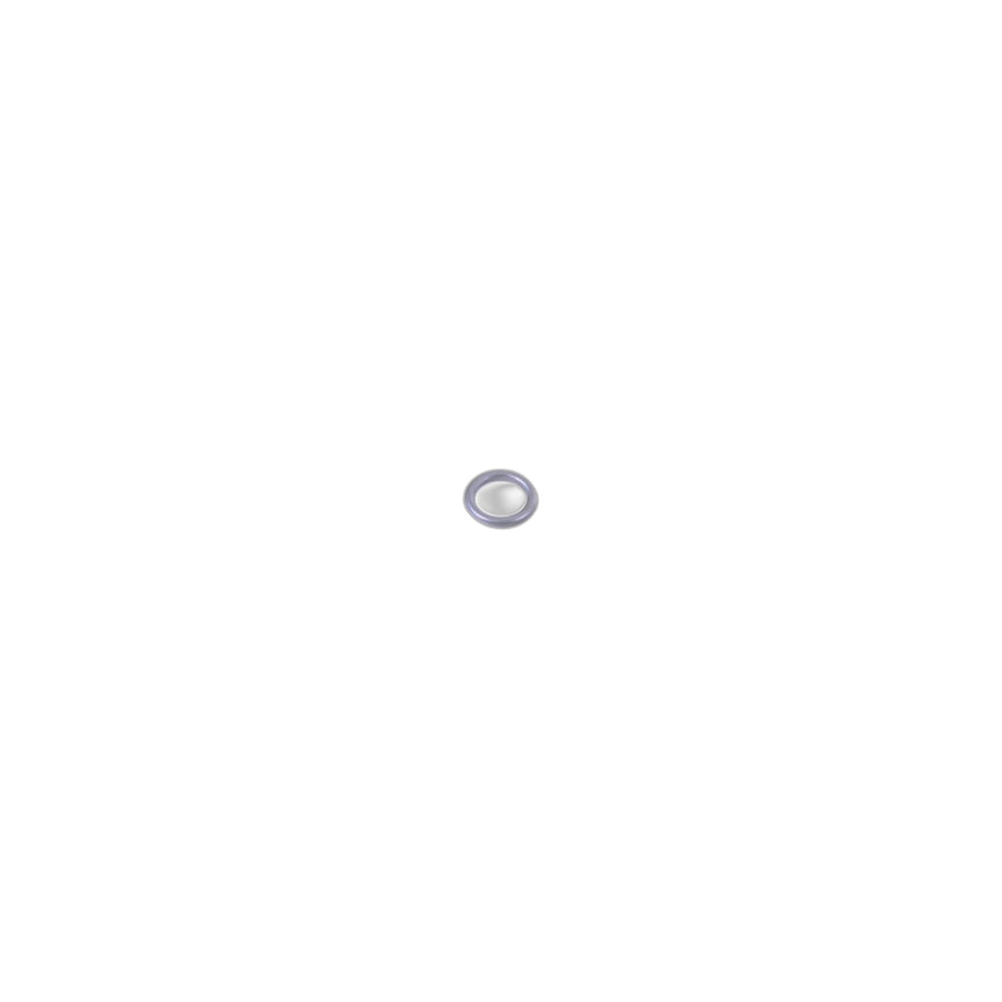 Genuine BMW 64508390600 E65 RR1 Gasket Ring (Inc. 750iLP, 745d & Phantom) | ML Performance US Car Parts