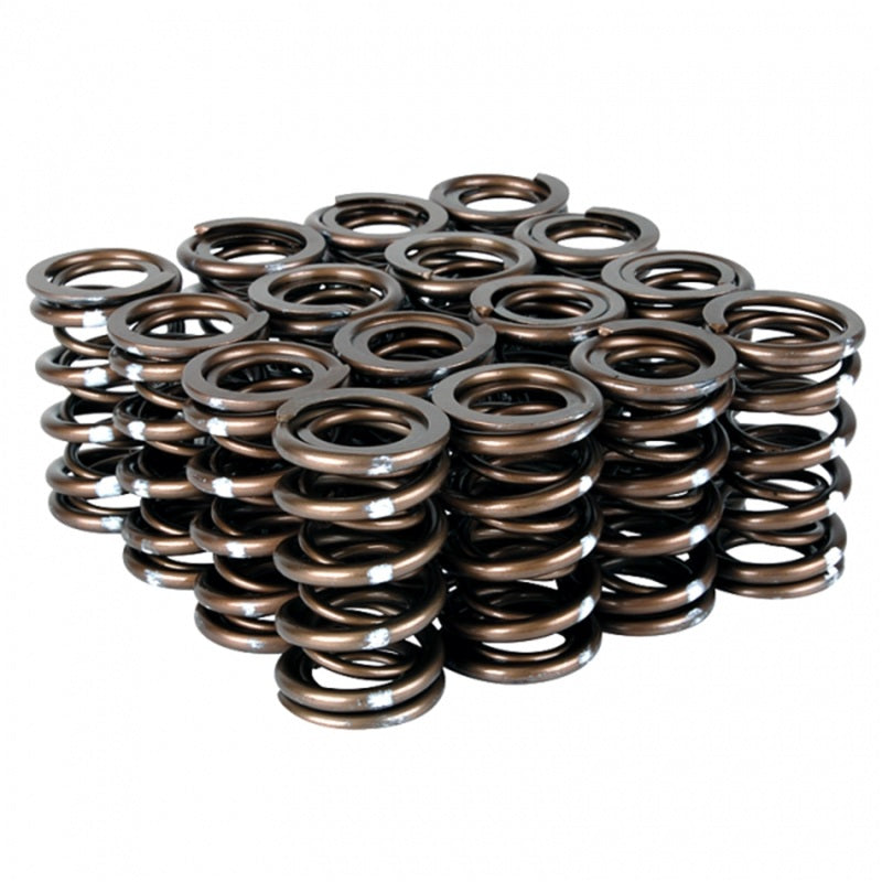 Skunk2 Racing Skunk2 Pro Series Honda/Acura B-Series VTEC XP Valve Spring Set (Dual Springs)