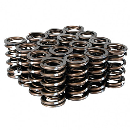 Skunk2 Racing Skunk2 Pro Series Honda/Acura B-Series VTEC XP Valve Spring Set (Dual Springs)