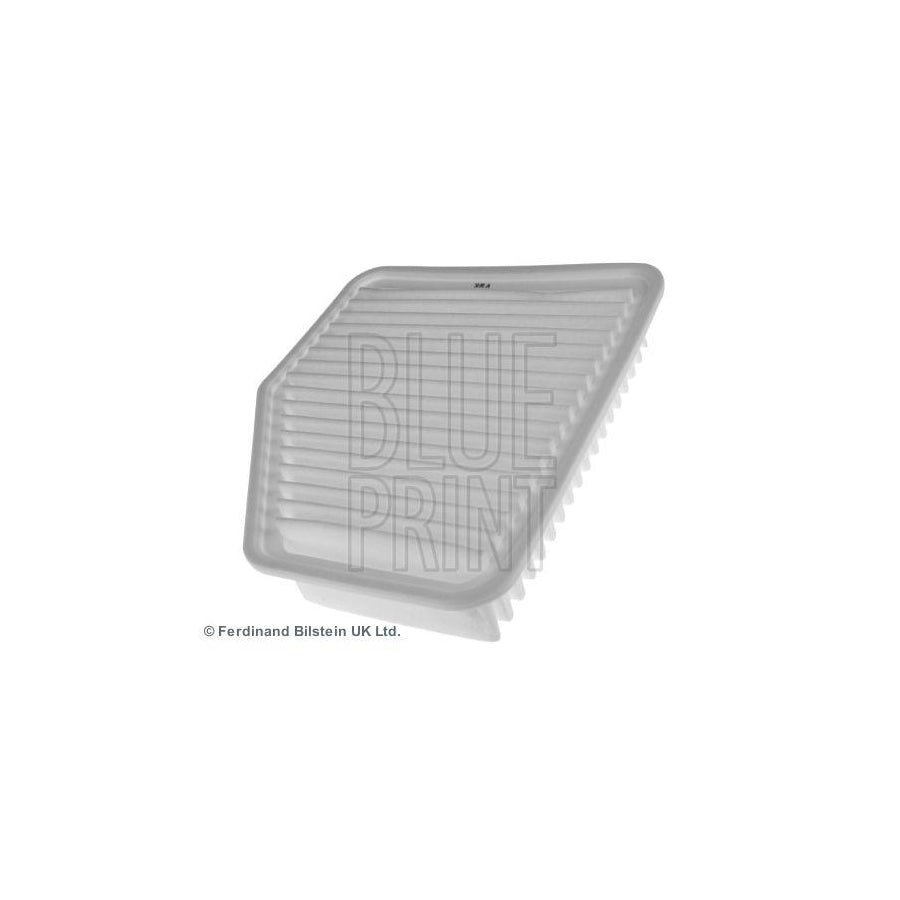 Blue Print Adt32289 Air Filter
