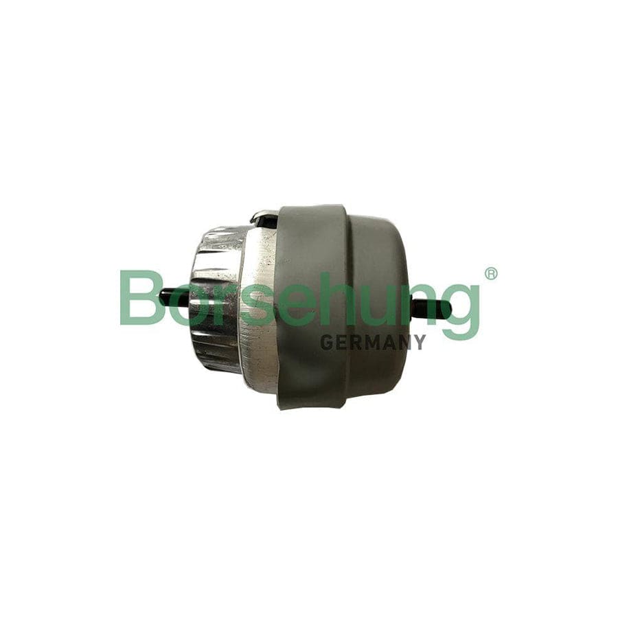 Borsehung B19136 Engine Mount for Audi A6