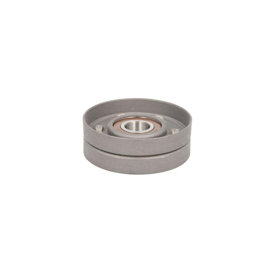 BTA E2V5589BTA Tensioner Lever, V-Ribbed Belt