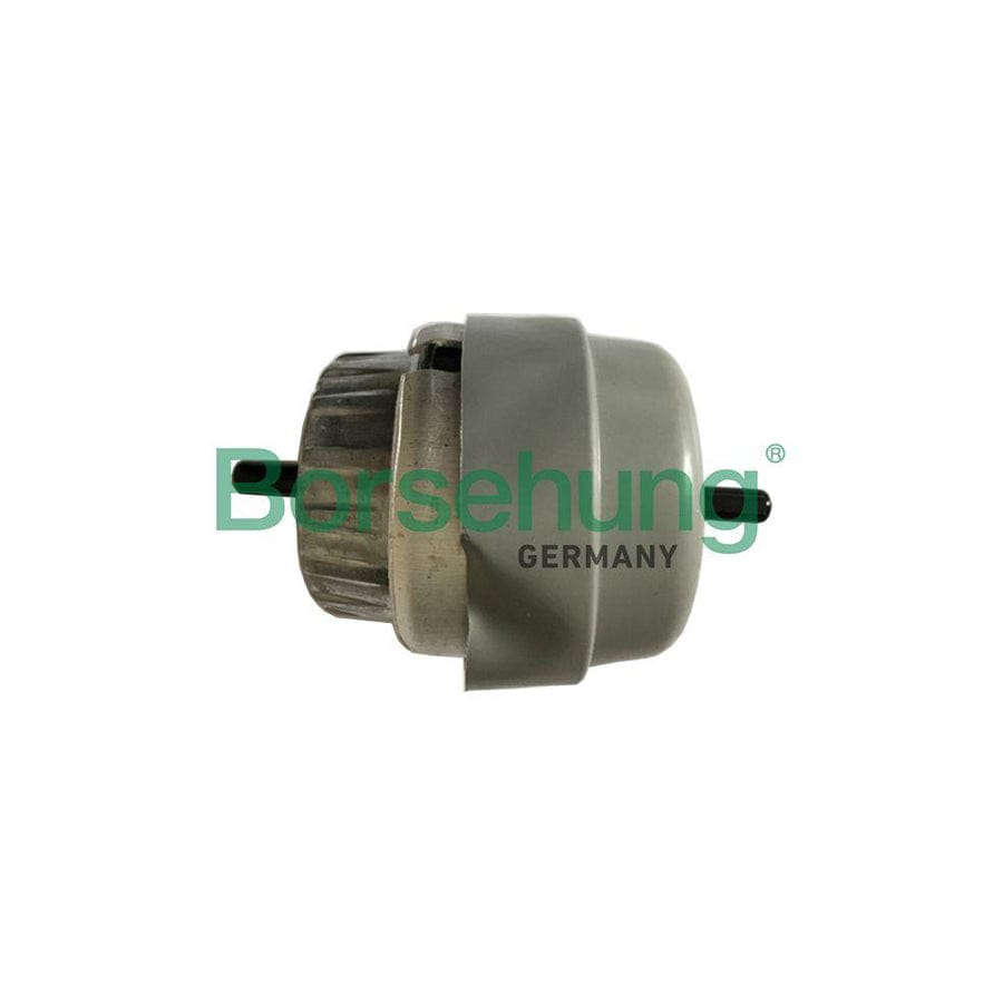 Borsehung B19135 Engine Mount for Audi A6
