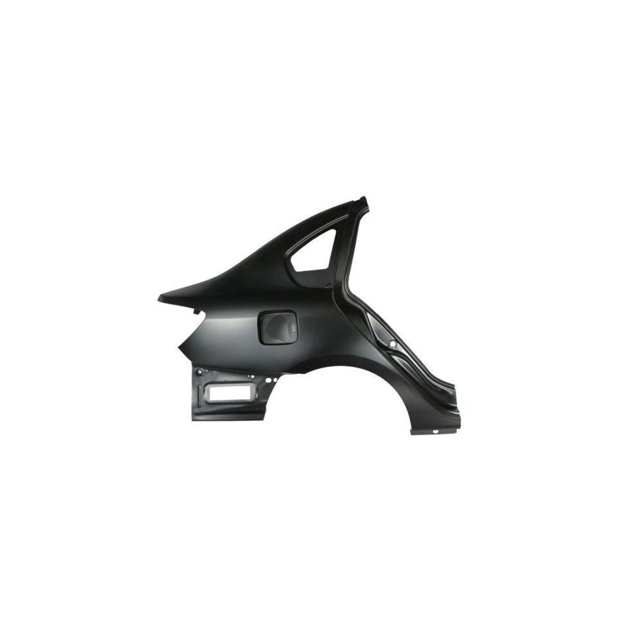 Blic 6504-01-6030512P Wing Fender For Renault Symbol / Thalia Ii