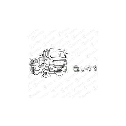 Covind Tgs/ 84 Bumper