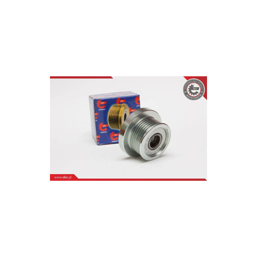 Esen Skv 11SKV049 Alternator Freewheel Clutch