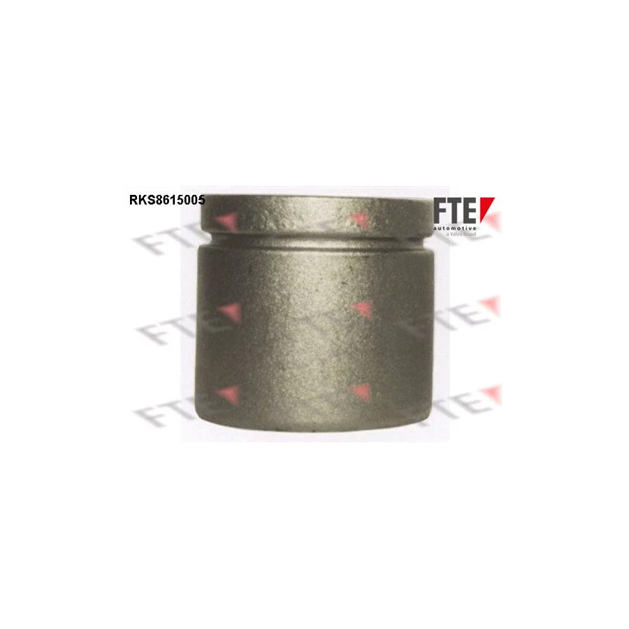 FTE Rks8615005 Piston, Brake Caliper
