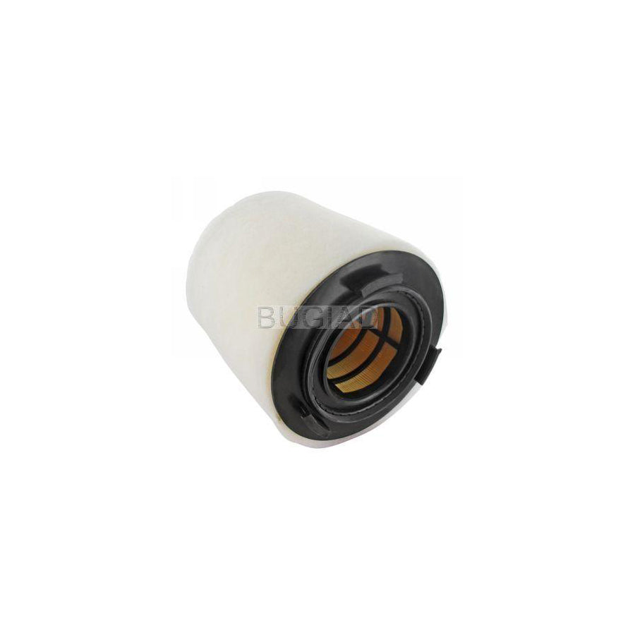 BUGIAD Bsp24105 Air Filter
