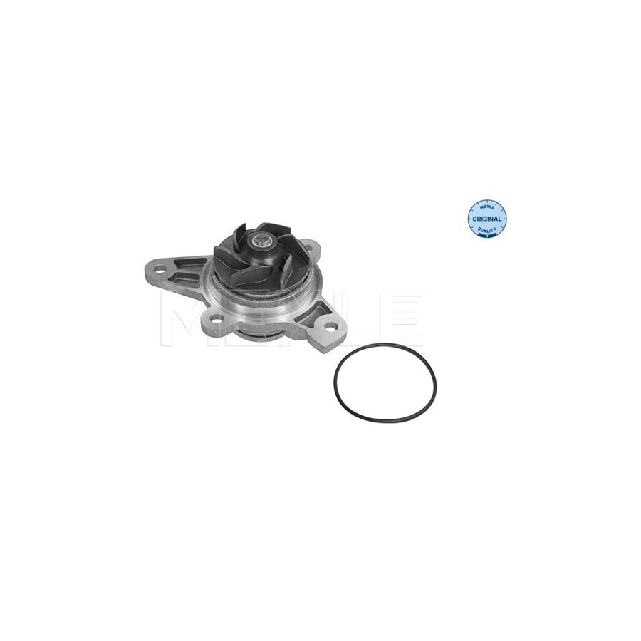 Meyle 113 220 0009 Water Pump