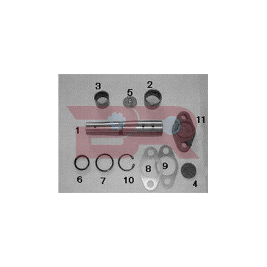 Botto Ricambi Kitiv024 Repair Kit, Kingpin