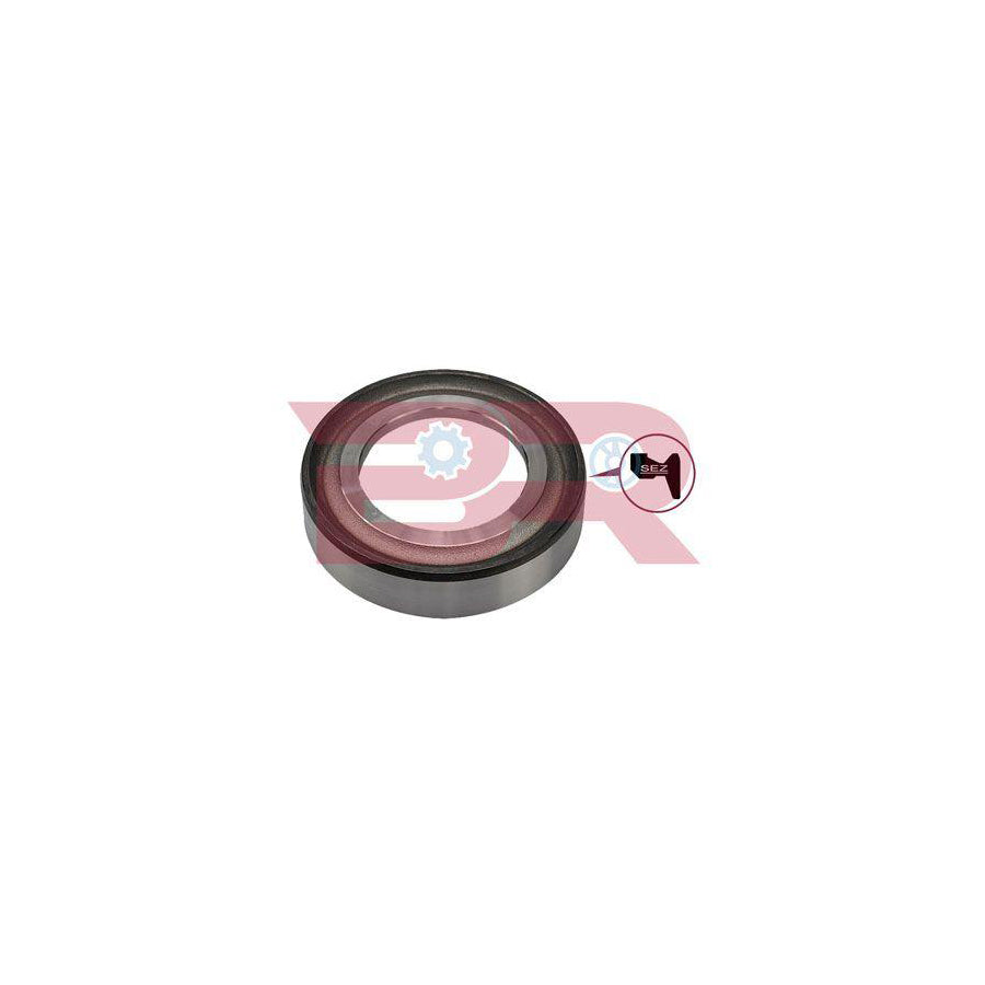 Botto Ricambi Brd6731 Spacer Ring