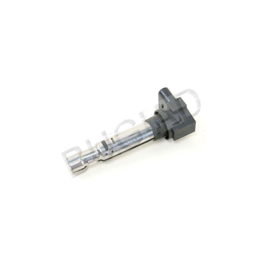 BUGIAD Bsp22125 Ignition Coil