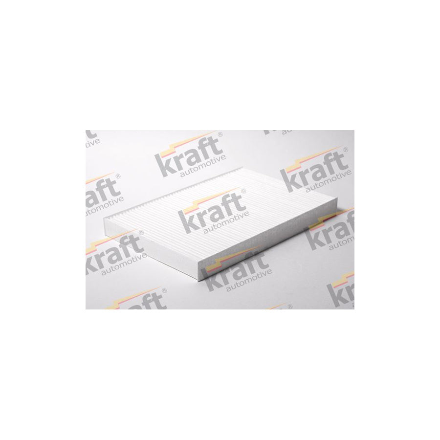 Kraft 1730066 Pollen Filter