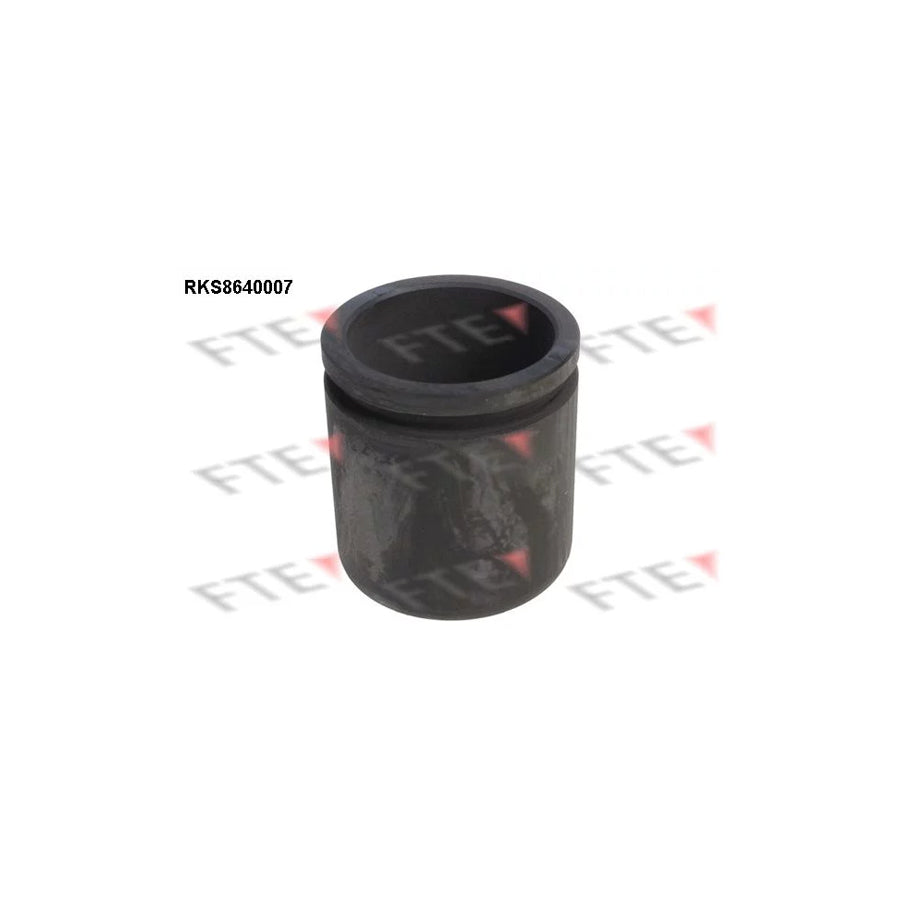 FTE 9313367 Piston, Brake Caliper