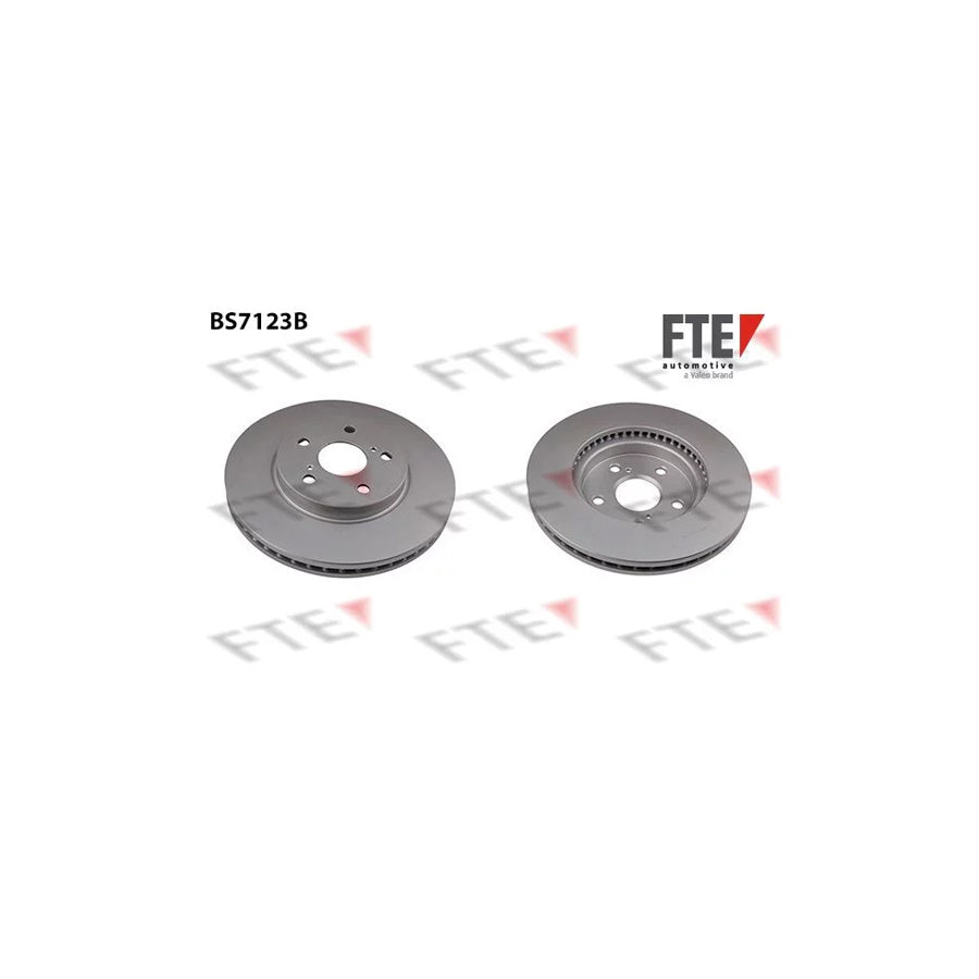 FTE Bs7123B Brake Disc