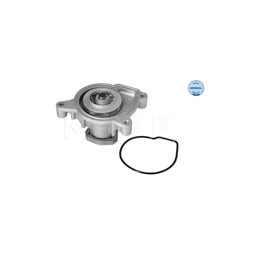 Meyle 113 220 0016 Water Pump