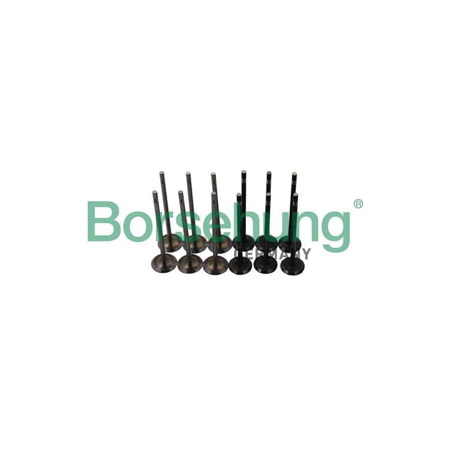 Borsehung B19160 Inlet Valve