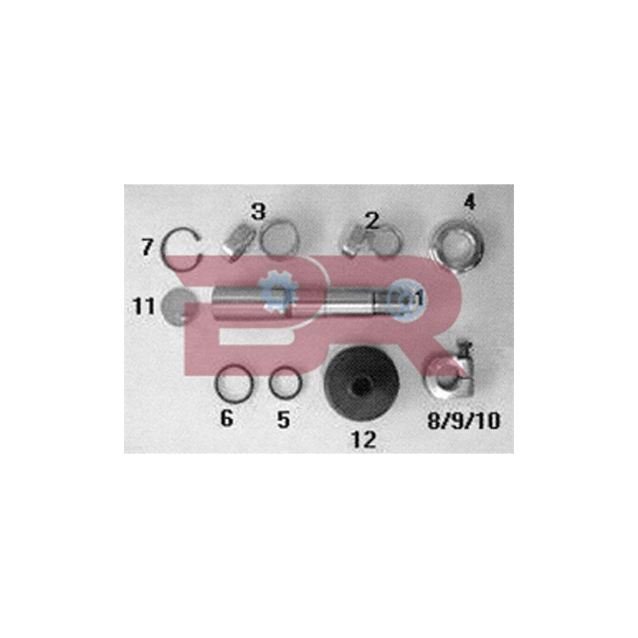 Botto Ricambi Kitiv021 Repair Kit, Kingpin