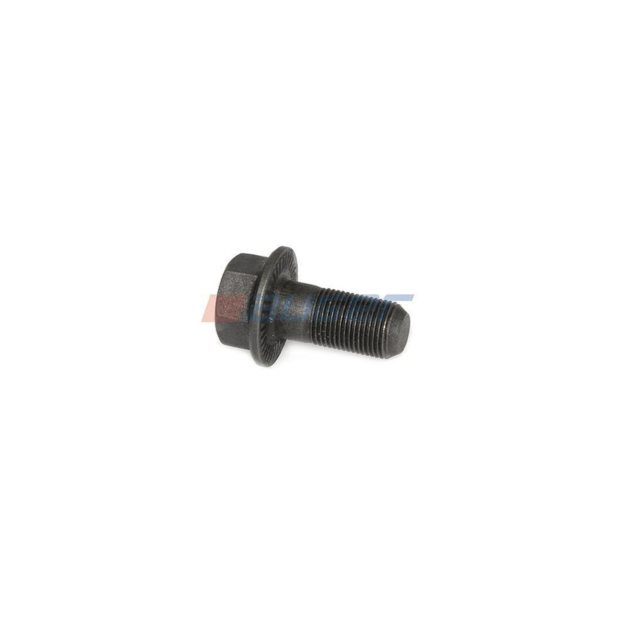 Auger 74696 Screw