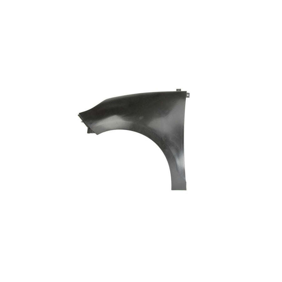 Blic 6504-04-6042313P Wing Fender