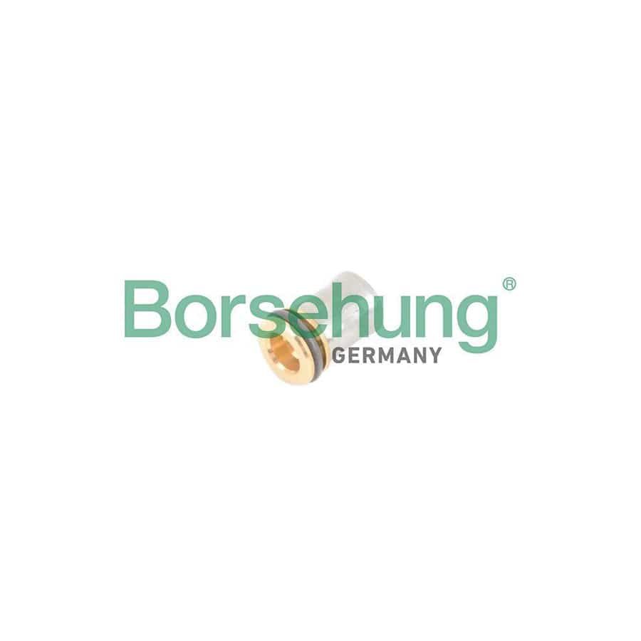 Borsehung B12241 Valve, Engine Block Breather
