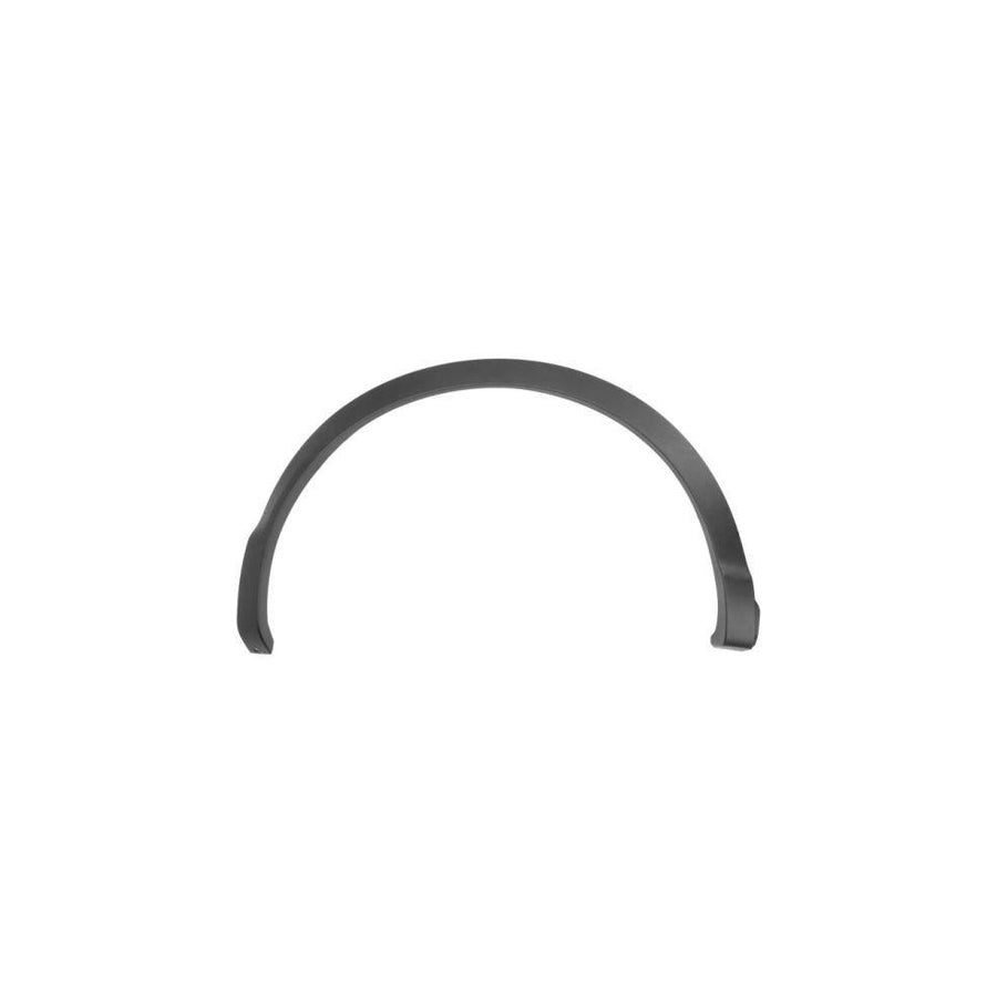 Blic 5703-04-1617596P Trim / Protective Strip, Mudguard For Nissan Qashqai II (J11)